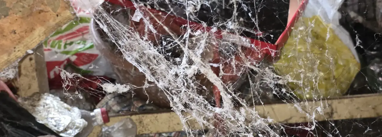 Почистване след психично болни хора в Шумен