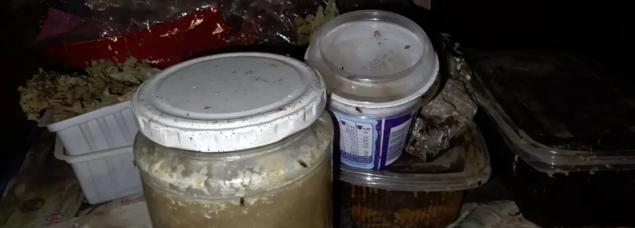 Почистване след психично болни хора в Глоджево