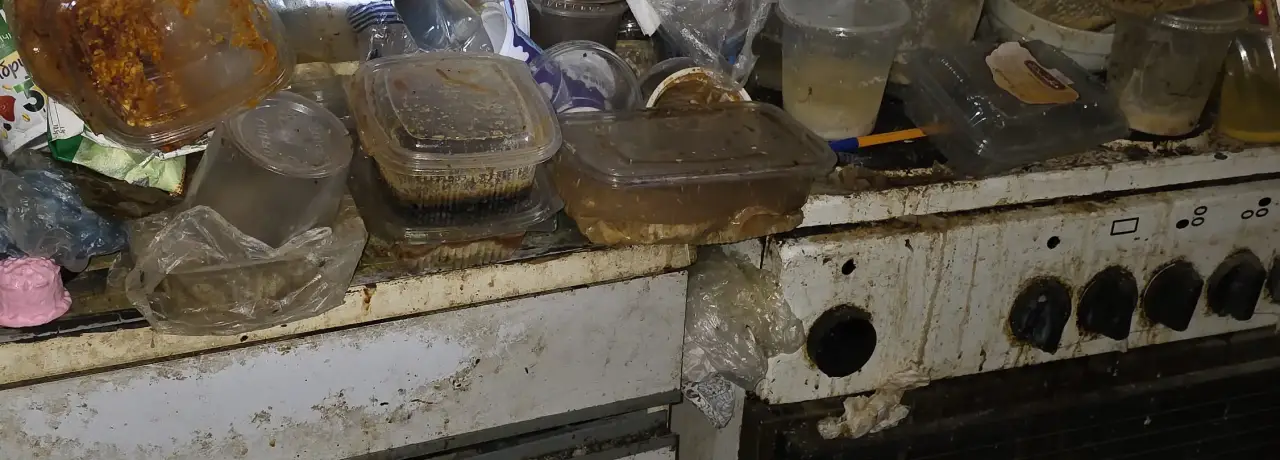 Почистване след боледуване в Провадия