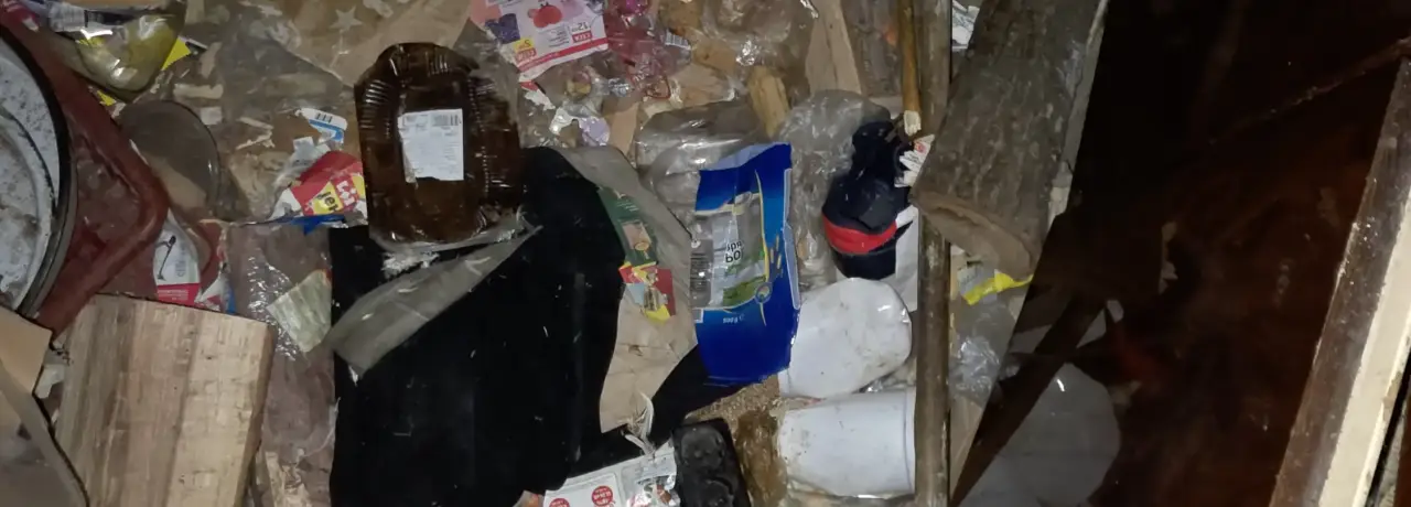 Почистване след боледуване в Годеч