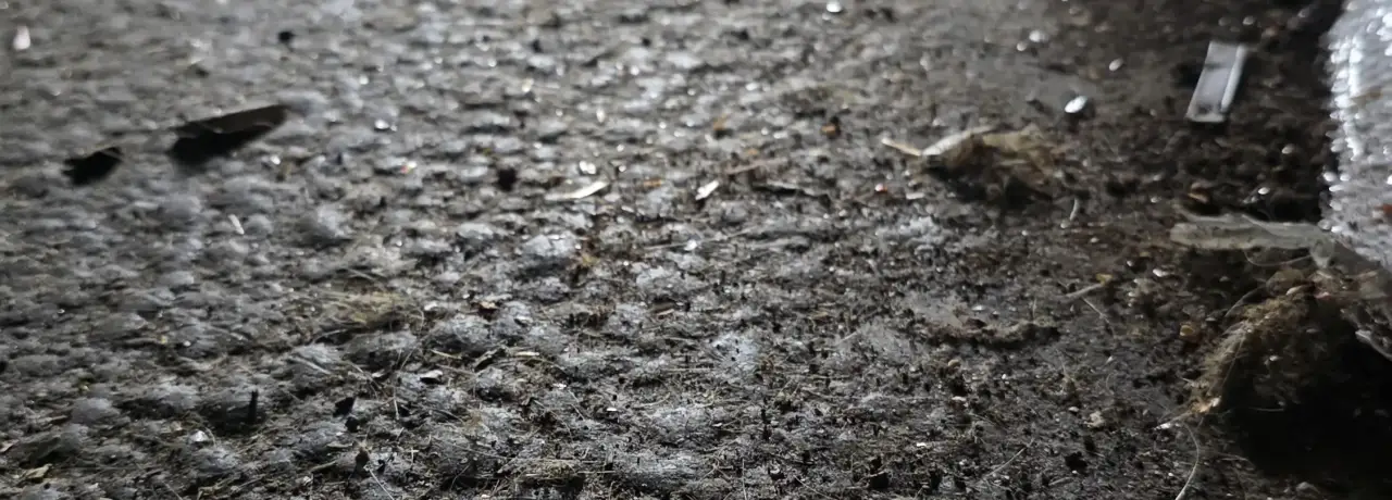 Почистване след плъхове и мишки в Харманли