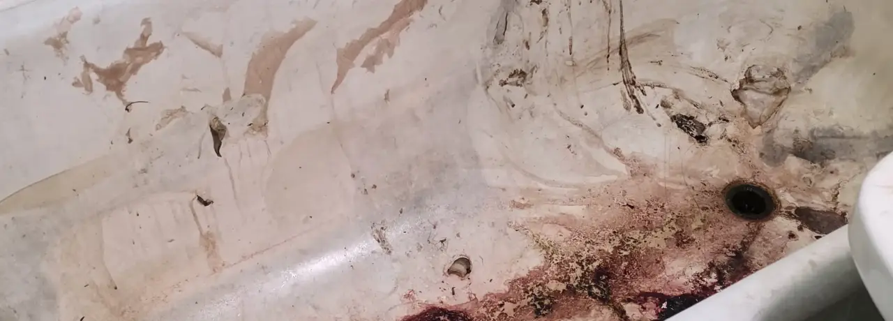 Почистване след смърт с дезинфекция и извозване в Берковица