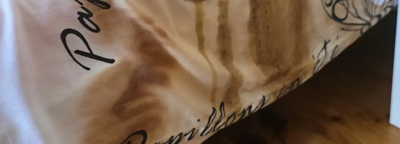Почистване след смърт с дезинфекция и извозване във Ветово