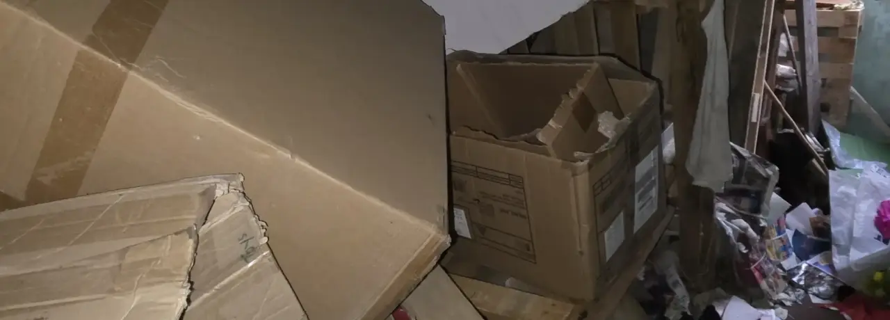 Почистване след синдром на Диоген в Мизия